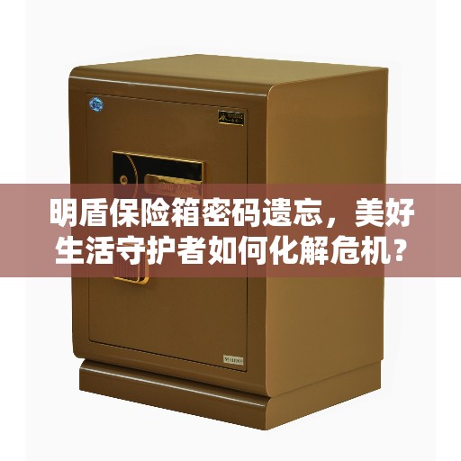 明盾保险箱密码遗忘,美好生活守护者如何化解危机? 明盾保险箱密码遗忘,美好生活守护者如何化解危机?