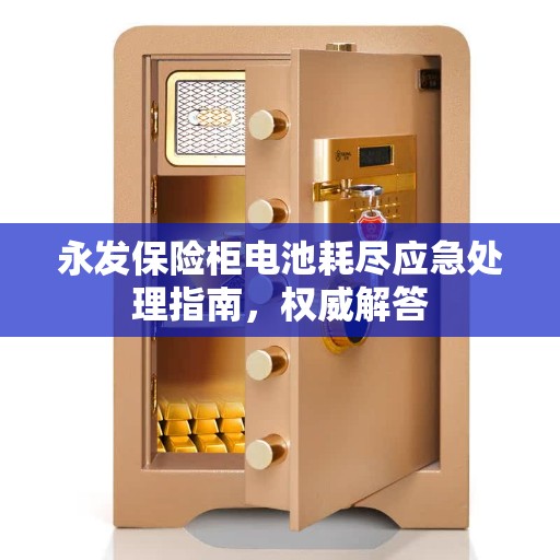 永发保险柜电池耗尽应急处理指南，权威解答