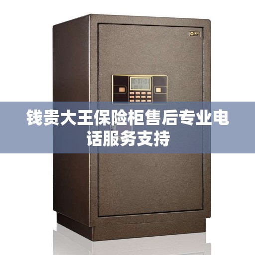 钱贵大王保险柜售后专业电话服务支持