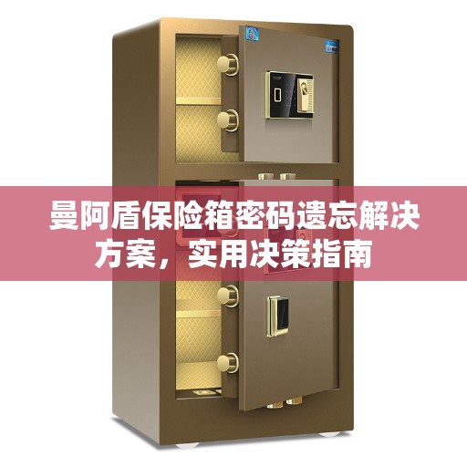 曼阿盾保险箱密码遗忘解决方案，实用决策指南