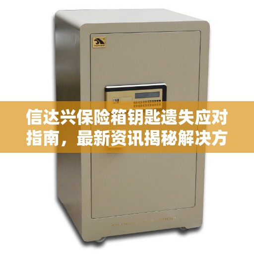 信达兴保险箱钥匙遗失应对指南，最新资讯揭秘解决方案