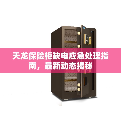 天龙保险柜缺电应急处理指南，最新动态揭秘