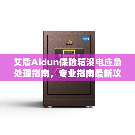 艾盾Aidun保险箱没电应急处理指南，专业指南最新攻略
