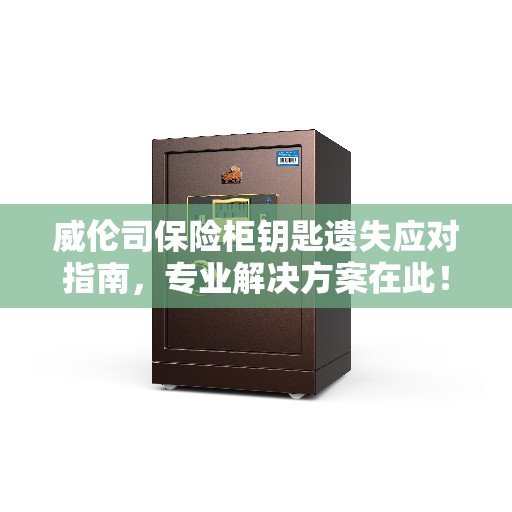 威伦司保险柜钥匙遗失应对指南，专业解决方案在此！
