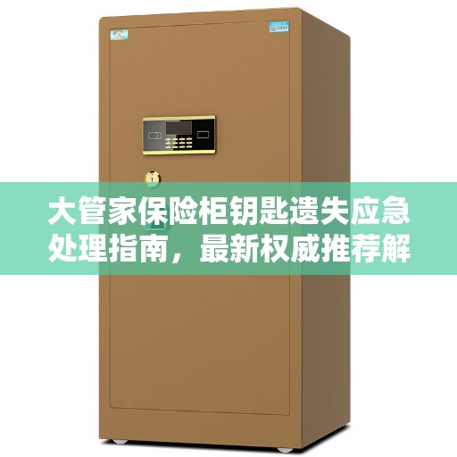 大管家保险柜钥匙遗失应急处理指南，最新权威推荐解决方案