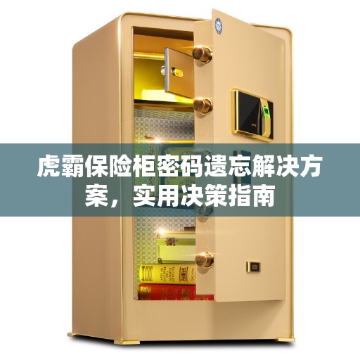 虎霸保险柜密码遗忘解决方案，实用决策指南