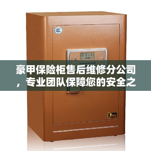 豪甲保险柜售后维修分公司，专业团队保障您的安全之选