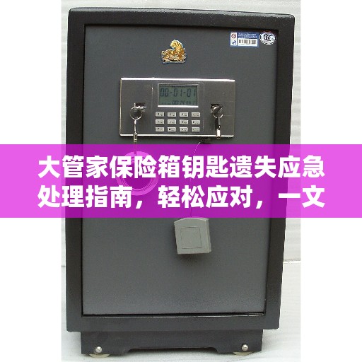 大管家保险箱钥匙遗失应急处理指南，轻松应对，一文全攻略