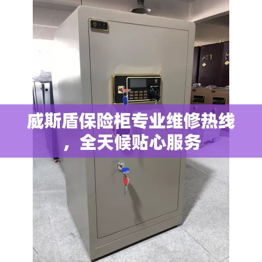 威斯盾保险柜专业维修热线，全天候贴心服务