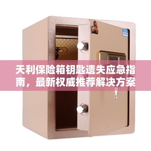 天利保险箱钥匙遗失应急指南,最新权威推荐解决方案 天利保险箱钥匙遗失应急指南,最新权威推荐解决方案