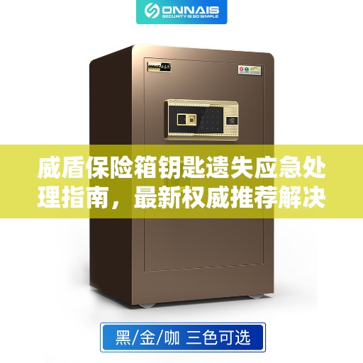 威盾保险箱钥匙遗失应急处理指南，最新权威推荐解决方案