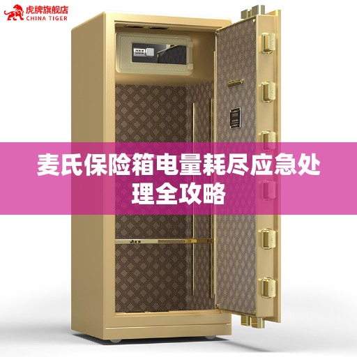 麦氏保险箱电量耗尽应急处理全攻略