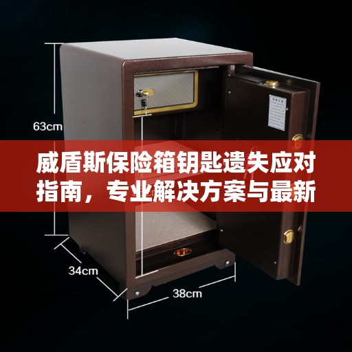 威盾斯保险箱钥匙遗失应对指南，专业解决方案与最新权威推荐