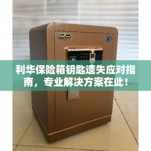 利华保险箱钥匙遗失应对指南，专业解决方案在此！