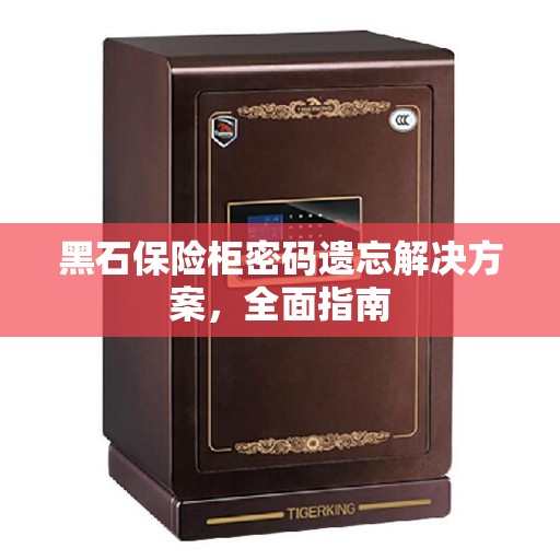 黑石保险柜密码遗忘解决方案，全面指南