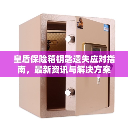 皇盾保险箱钥匙遗失应对指南,最新资讯与解决方案 皇盾保险箱钥匙遗失应对指南,最新资讯与解决方案