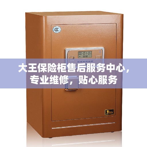 大王保险柜售后服务中心，专业维修，贴心服务