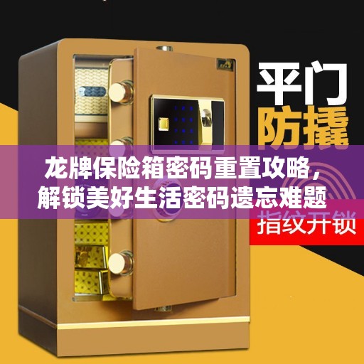 龙牌保险箱密码重置攻略，解锁美好生活密码遗忘难题