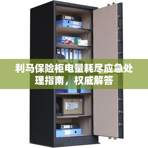 利马保险柜电量耗尽应急处理指南，权威解答