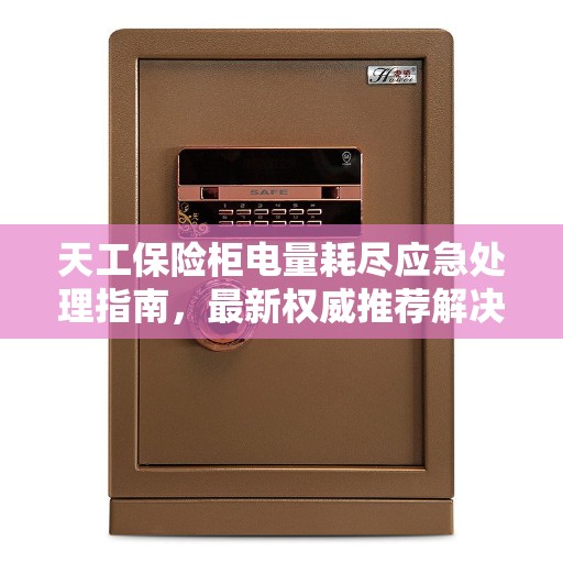 天工保险柜电量耗尽应急处理指南，最新权威推荐解决方案