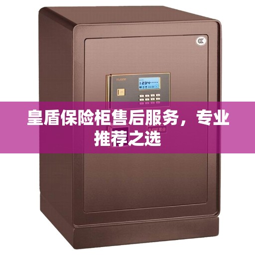 皇盾保险柜售后服务，专业推荐之选