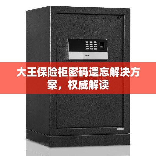 大王保险柜密码遗忘解决方案，权威解读