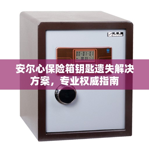 安尔心保险箱钥匙遗失解决方案，专业权威指南