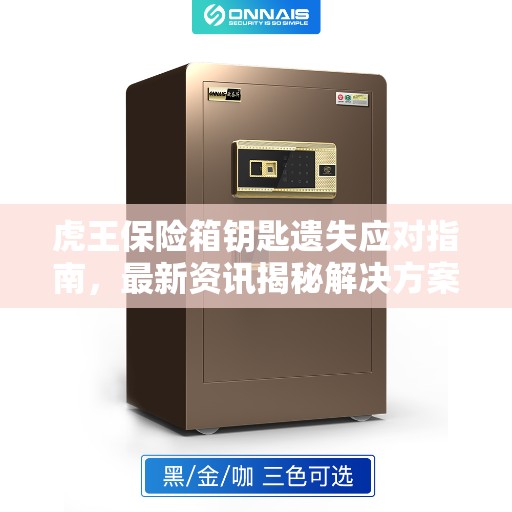 虎王保险箱钥匙遗失应对指南，最新资讯揭秘解决方案