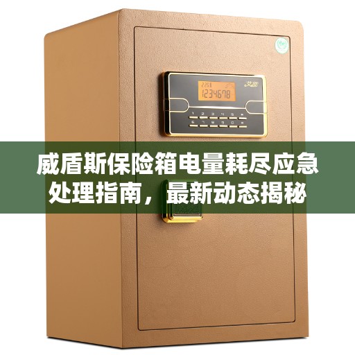 威盾斯保险箱电量耗尽应急处理指南，最新动态揭秘