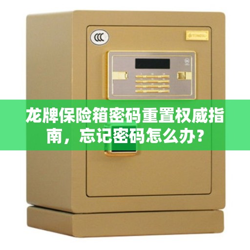 龙牌保险箱密码重置权威指南,忘记密码怎么办? 龙牌保险箱密码重置权威指南,忘记密码怎么办?