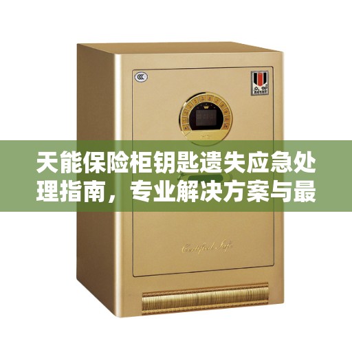 天能保险柜钥匙遗失应急处理指南，专业解决方案与最新权威推荐