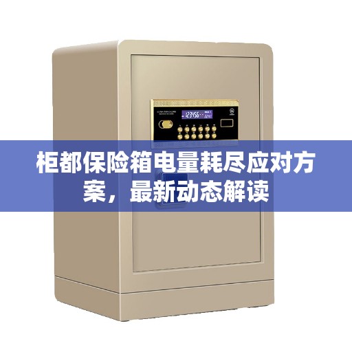 柜都保险箱电量耗尽应对方案，最新动态解读