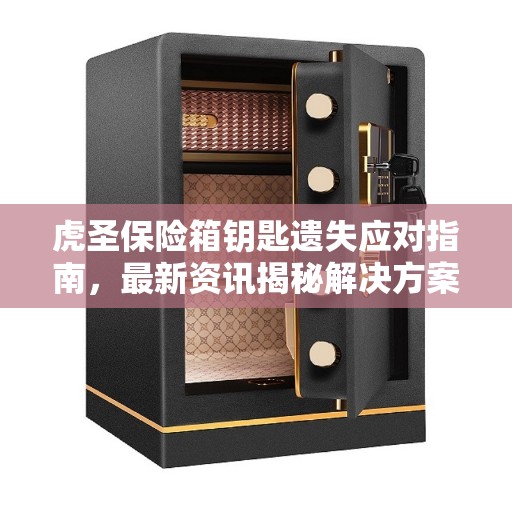 虎圣保险箱钥匙遗失应对指南，最新资讯揭秘解决方案