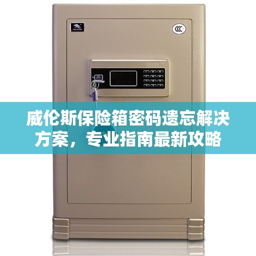 威伦斯保险箱密码遗忘解决方案，专业指南最新攻略