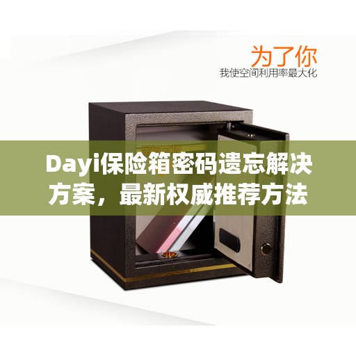 Dayi保险箱密码遗忘解决方案，最新权威推荐方法