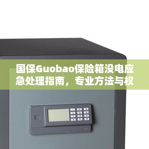 国保Guobao保险箱没电应急处理指南，专业方法与权威解答