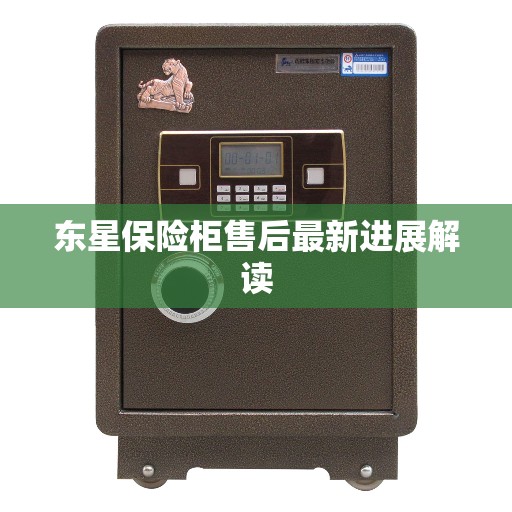 东星保险柜售后最新进展解读