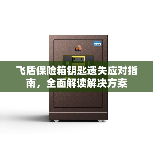 飞盾保险箱钥匙遗失应对指南，全面解读解决方案