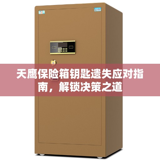 天鹰保险箱钥匙遗失应对指南，解锁决策之道
