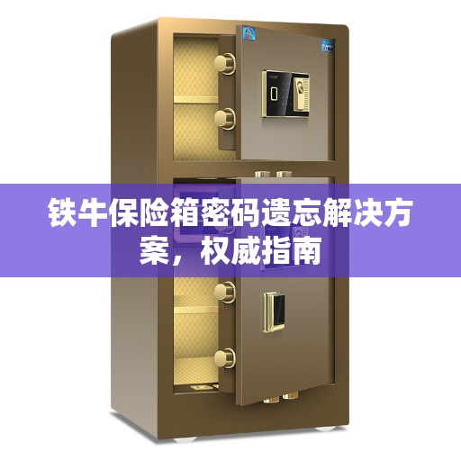 铁牛保险箱密码遗忘解决方案，权威指南