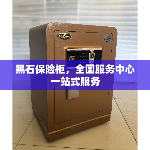 黑石保险柜，全国服务中心一站式服务