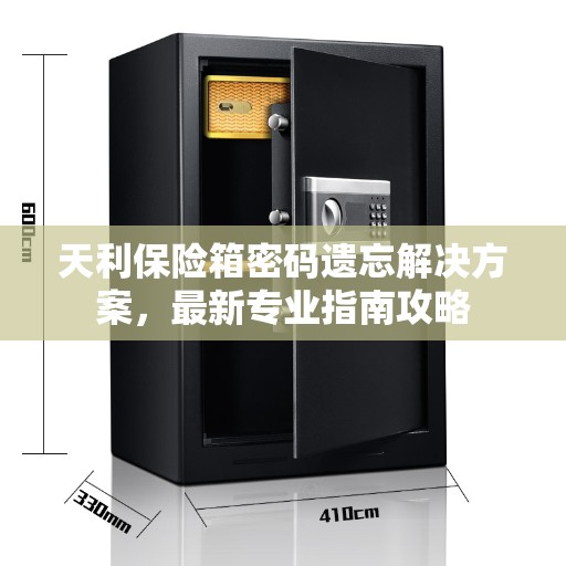 天利保险箱密码遗忘解决方案，最新专业指南攻略