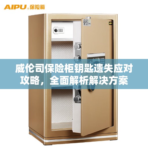 威伦司保险柜钥匙遗失应对攻略，全面解析解决方案
