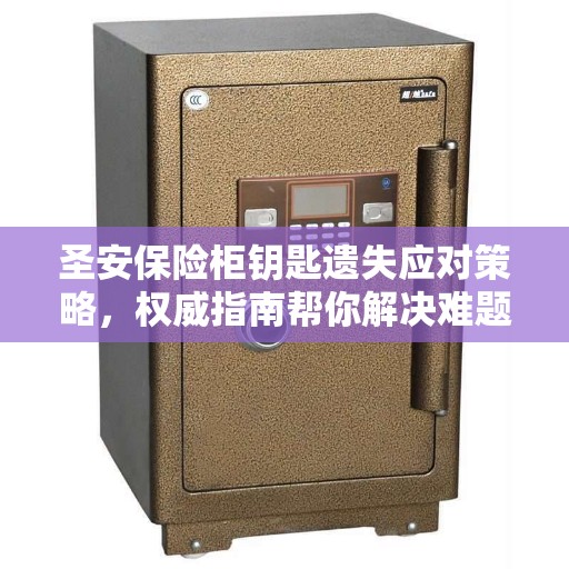 圣安保险柜钥匙遗失应对策略，权威指南帮你解决难题