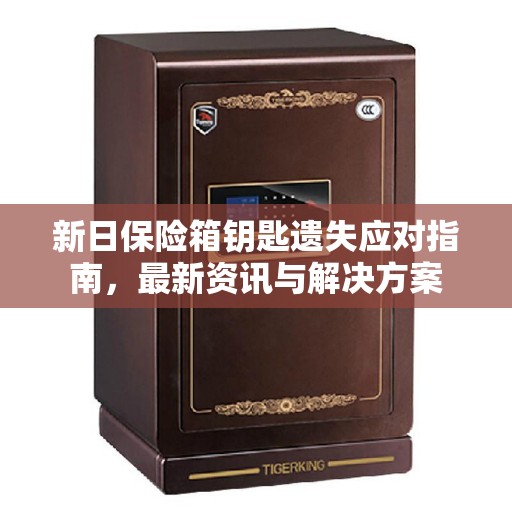 新日保险箱钥匙遗失应对指南，最新资讯与解决方案