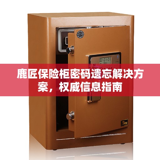 鹿匠保险柜密码遗忘解决方案，权威信息指南