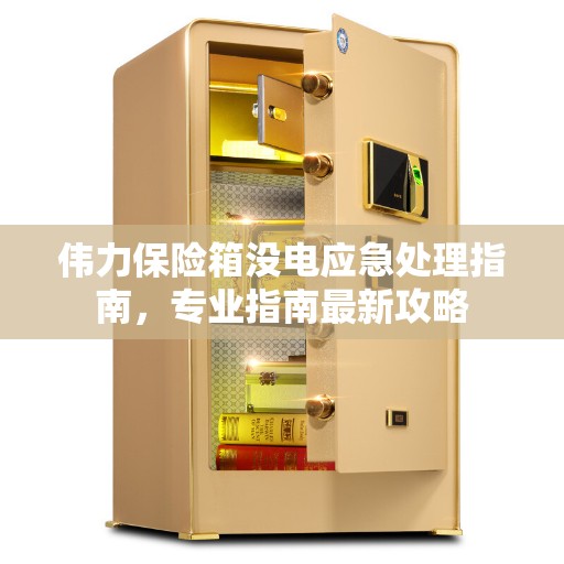 伟力保险箱没电应急处理指南，专业指南最新攻略