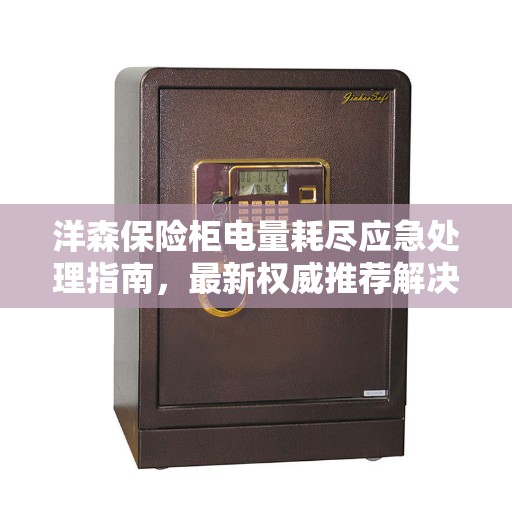 洋森保险柜电量耗尽应急处理指南，最新权威推荐解决方案