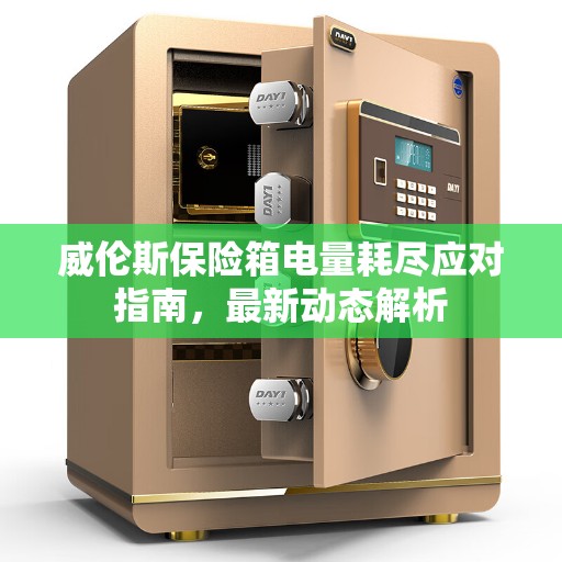 威伦斯保险箱电量耗尽应对指南，最新动态解析