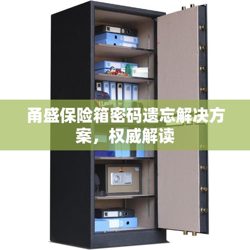 甬盛保险箱密码遗忘解决方案，权威解读